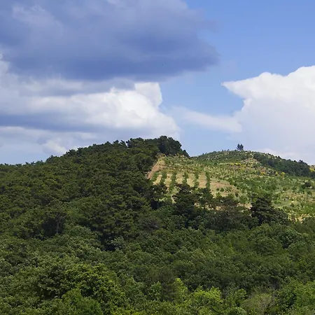 Kaz Dagi Konagi Bed & Breakfast Ayvacik (Canakkale)